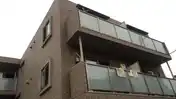 グレイスコート